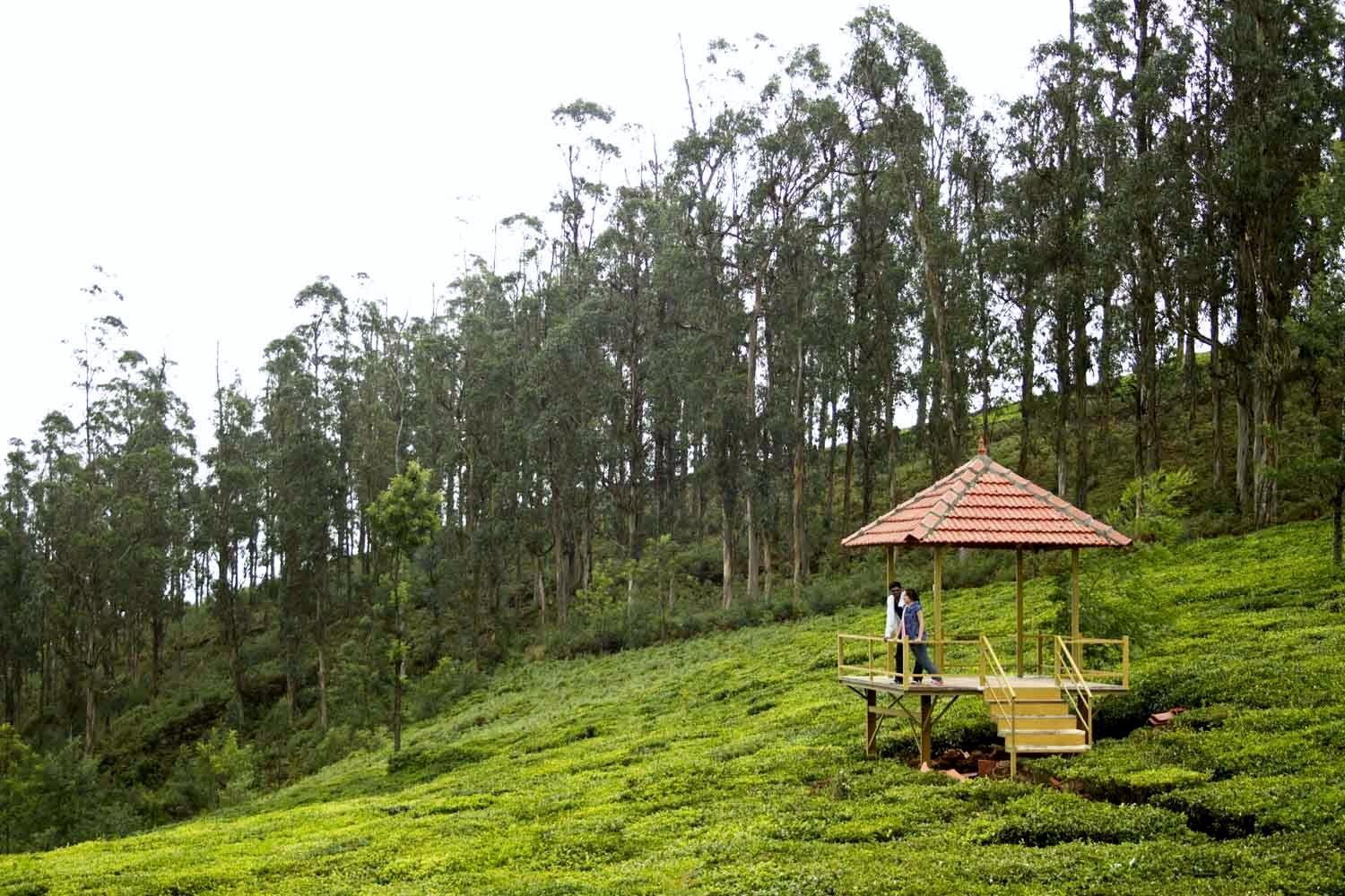 Green Nest Resort Ooty Котажирі Екстер'єр фото