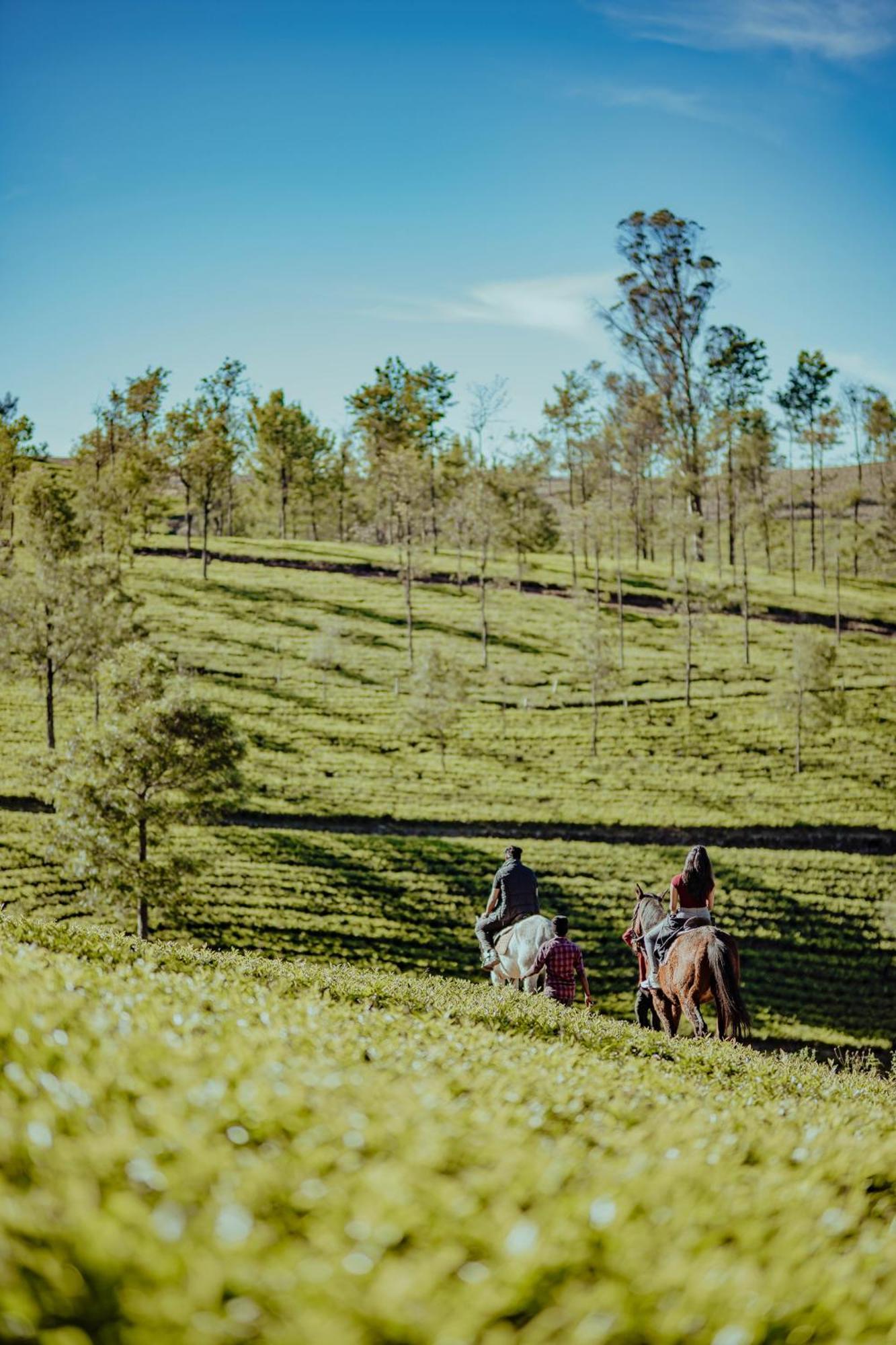 Green Nest Resort Ooty Котажирі Екстер'єр фото