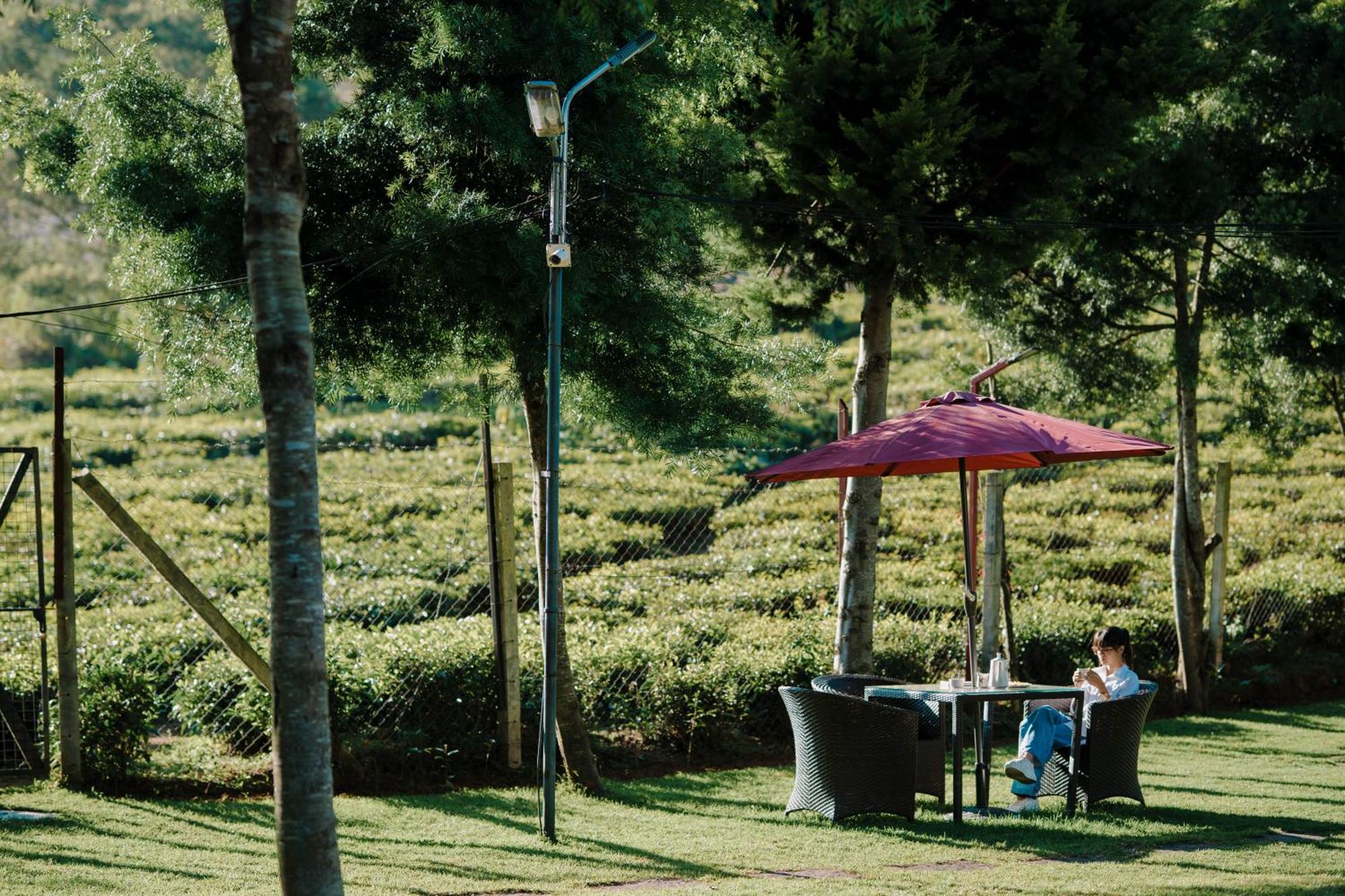 Green Nest Resort Ooty Котажирі Екстер'єр фото
