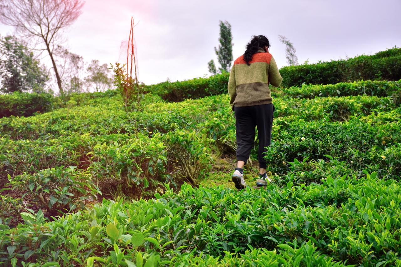 Green Nest Resort Ooty Котажирі Екстер'єр фото